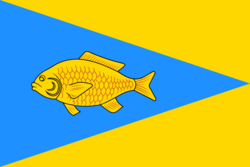 Flag of Ishim (Tyumen oblast)
